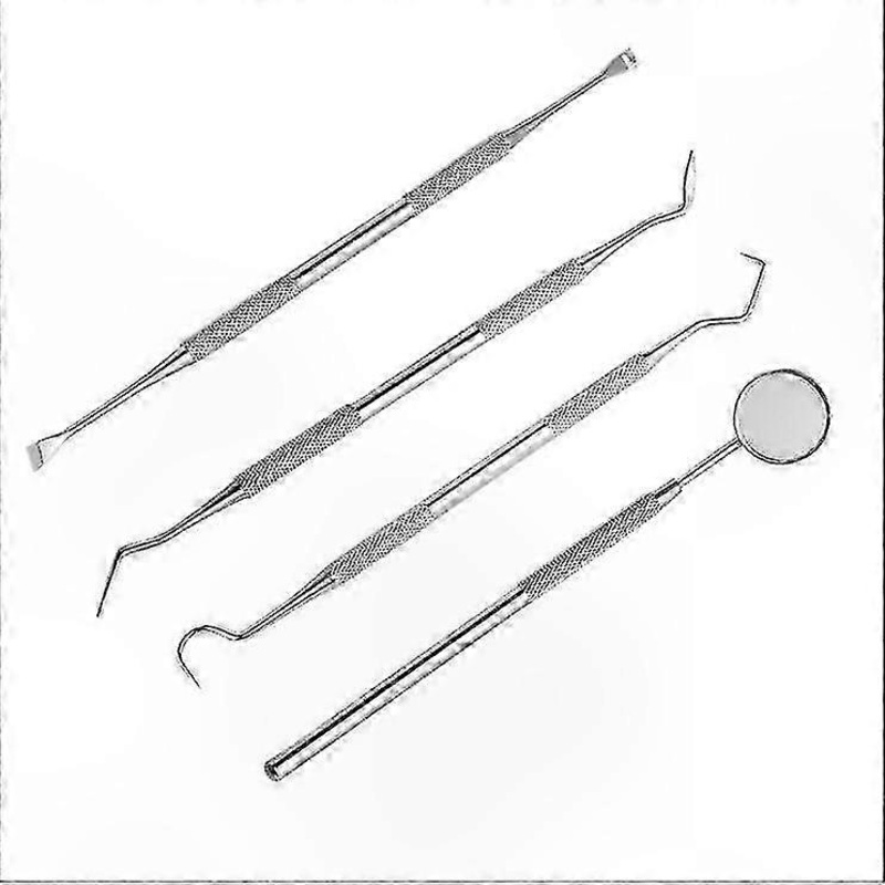 4-Piece Dental Care Kit for Tartar Removal with Professional Tools