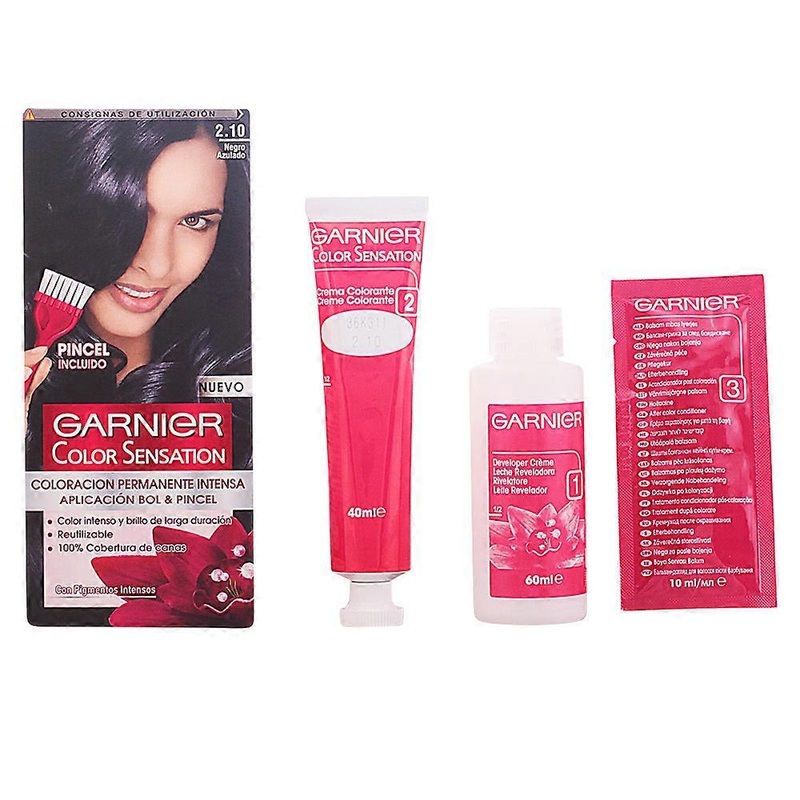 GARNIER COLOR SENSATION #2.10-bluish black 110 g